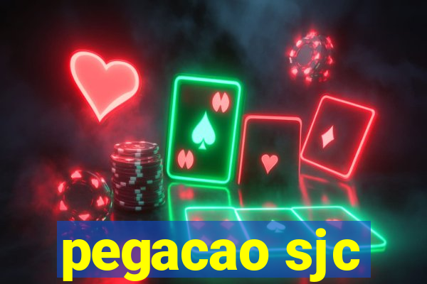 pegacao sjc